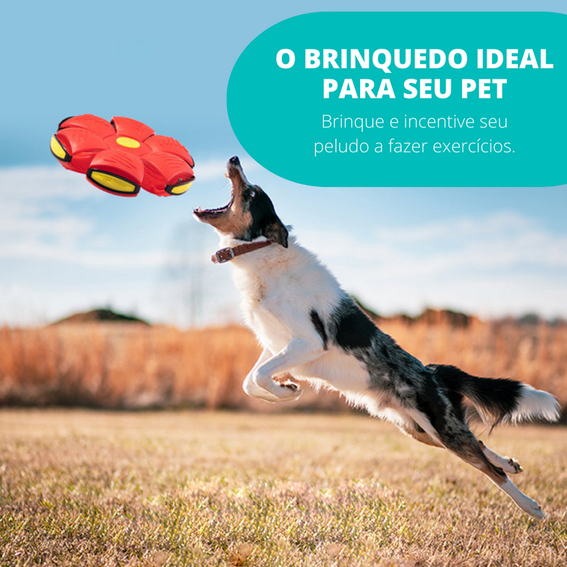 PetBall Bola Voadora para Cães - Smart Deal