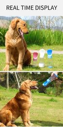 - Bebedouro portatil