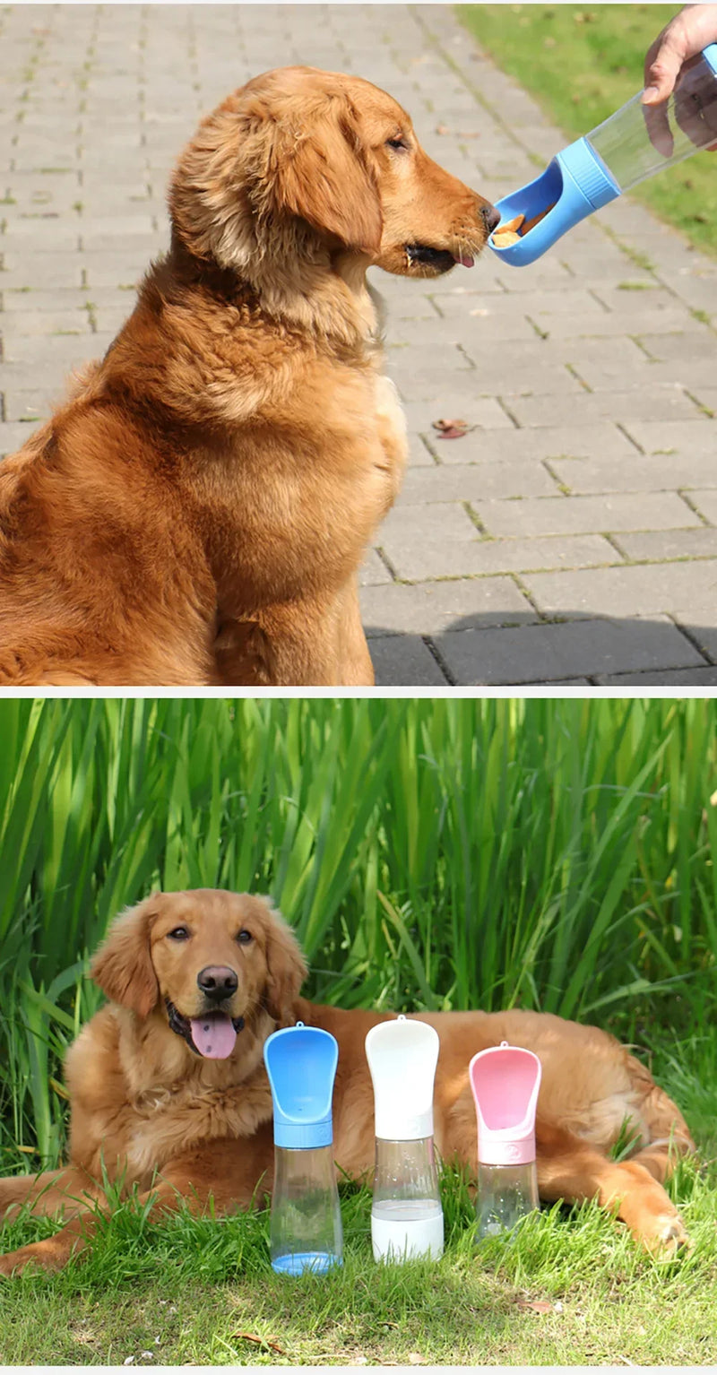 - Bebedouro portatil