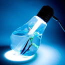 - Umidificador lampada