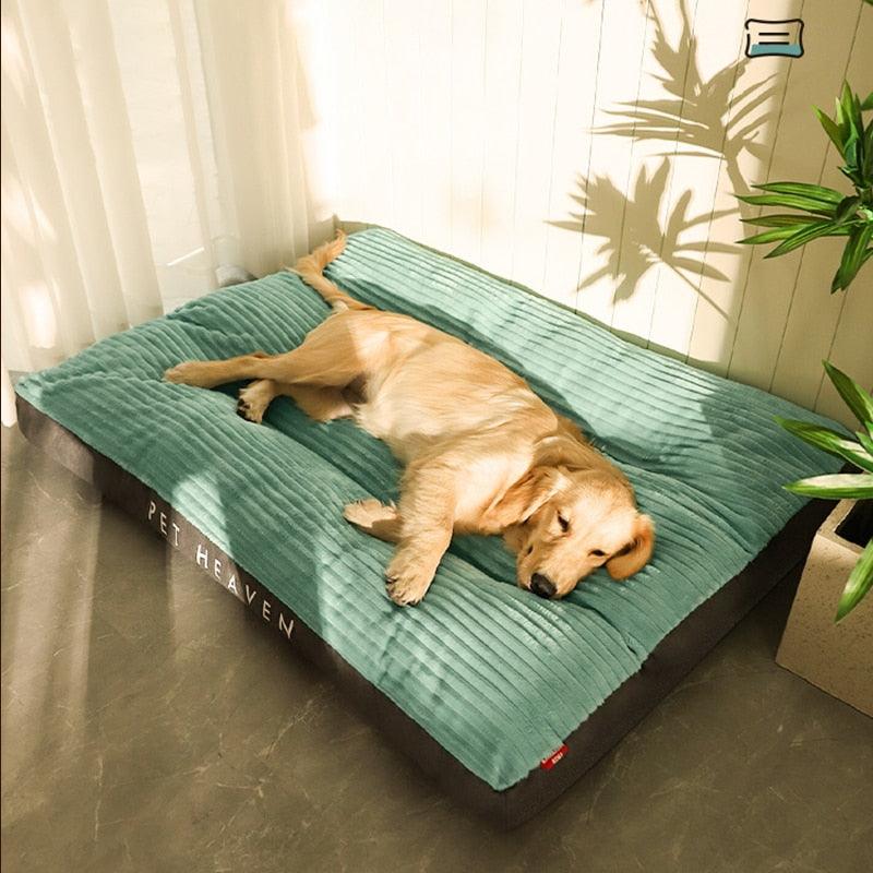 Caminha Pet Dream para cães e gatos - Smart Deal